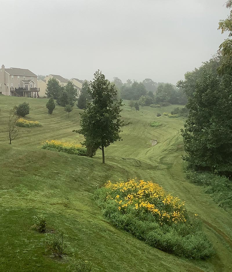 Providence Hill Basin 5 & 6